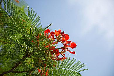 《狂野之心》PC新补丁开发中 解决CPU瓶颈问题